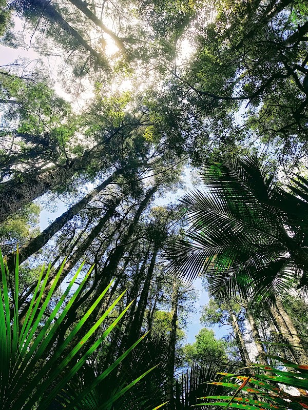 Murphys Bush Reserve 5