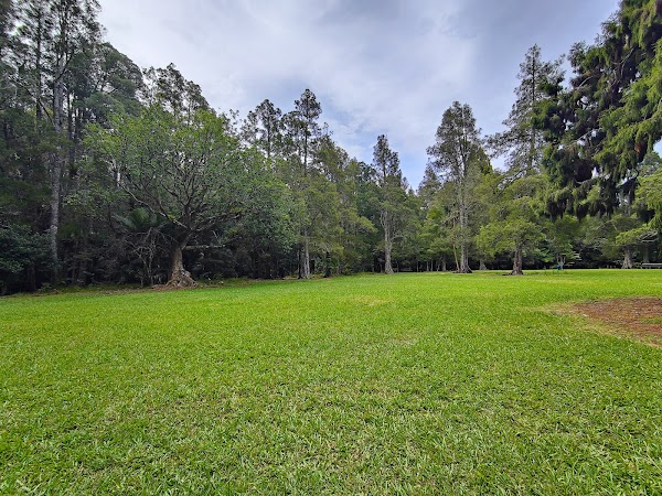 Murphys Bush Reserve 4