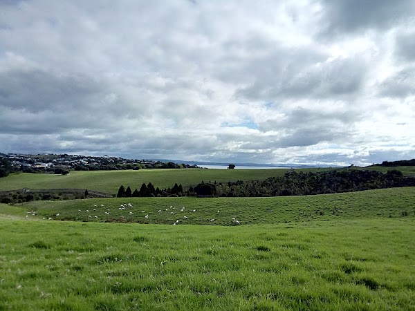 Murphys Bush Reserve 3