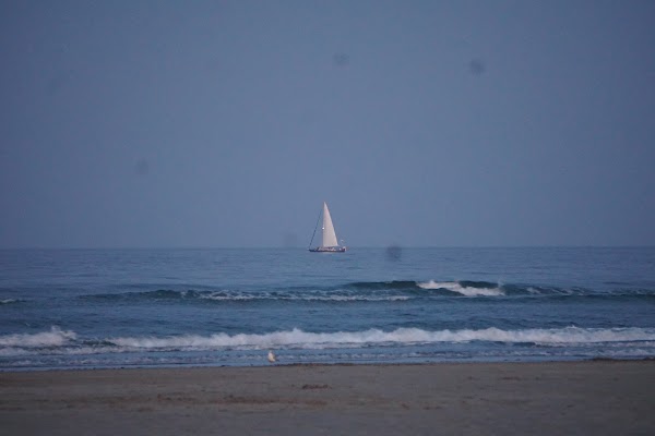 Main Beach 4
