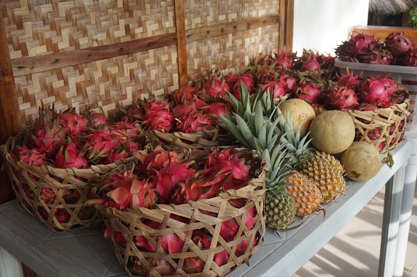 M.Y. Farm Agpudlos shop