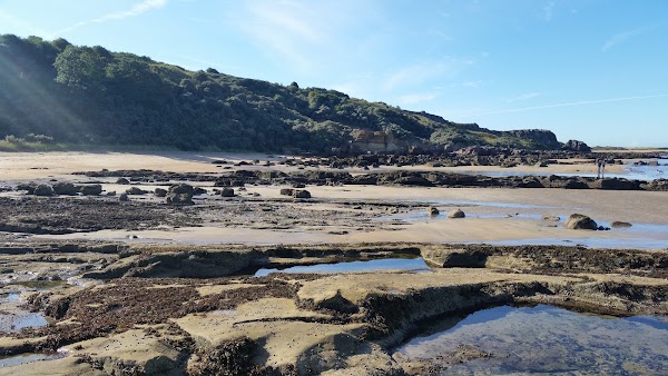 Gullane 4