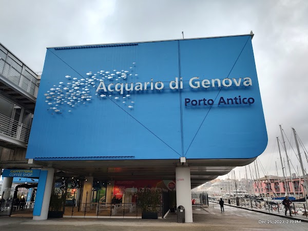 Aquarium of Genoa 4