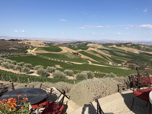 DAOU Vineyards 3