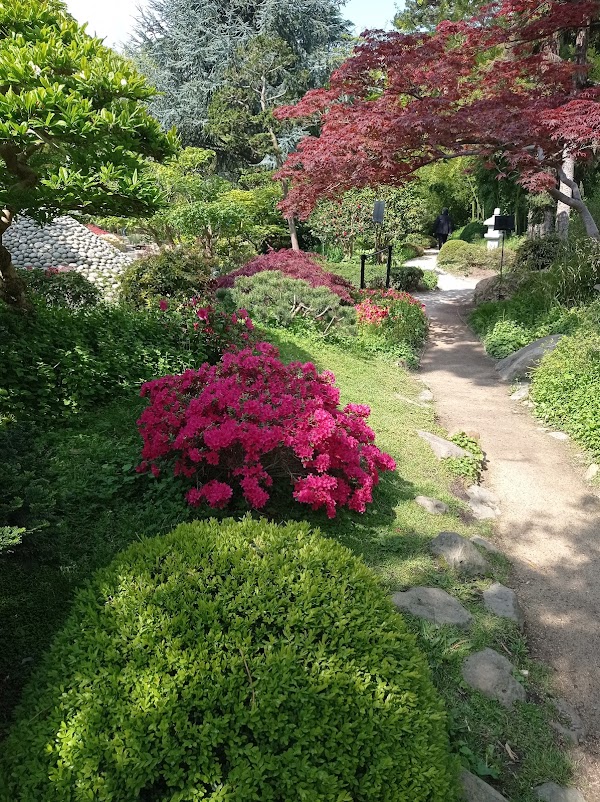 Albert-Kahn Museum and Garden 4