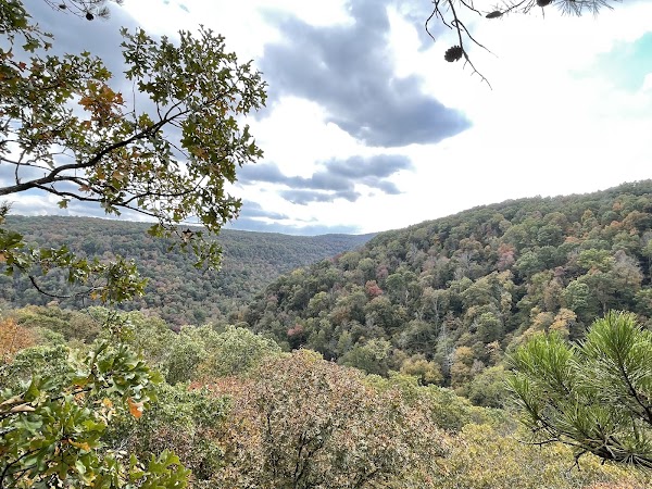Hawksbill Crag/Whitaker Point 5