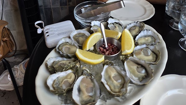 Oyster & Margarita 4