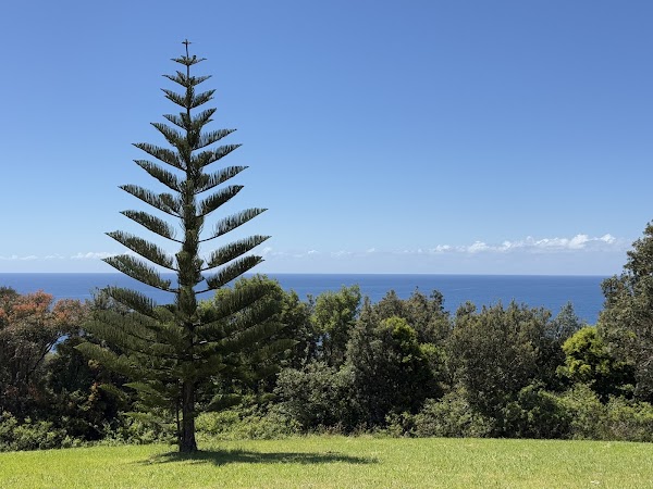 Gerringong Whale Watching Platform 2