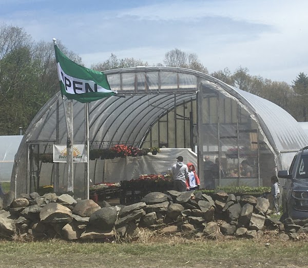 Under the Sun Farm 1