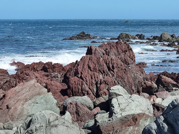Red Rocks - Seals 5