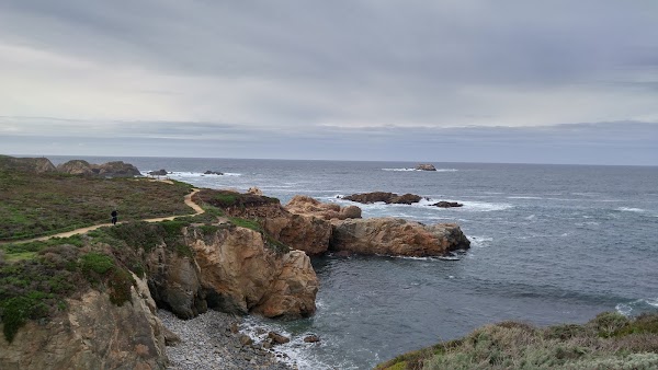 California 1 4