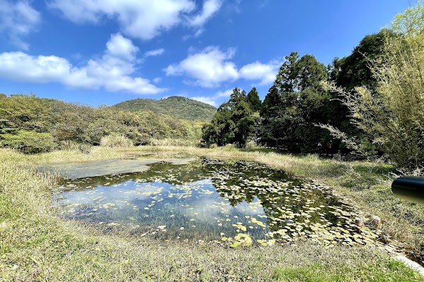 Lengshuikeng ecological pool