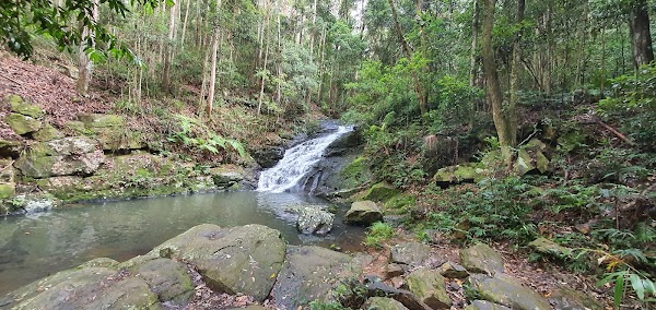 Kondalilla Falls Circuit 2