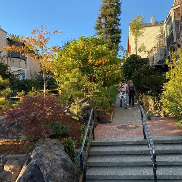 Famous houses in San Francisco 🏠