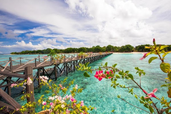 Pulau Pom Pom