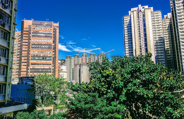 Wong Tai Sin District 4