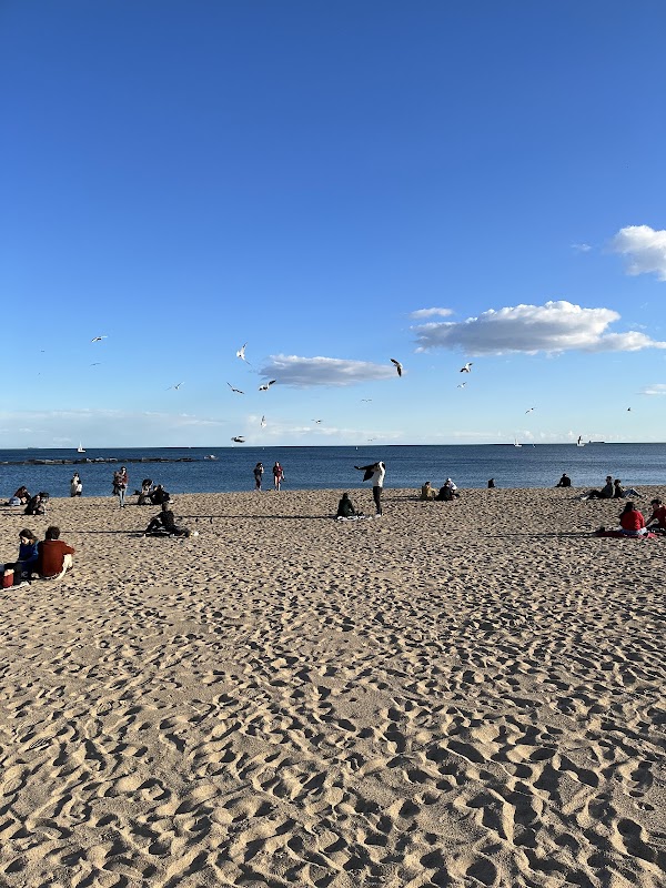 Barceloneta Beach 2