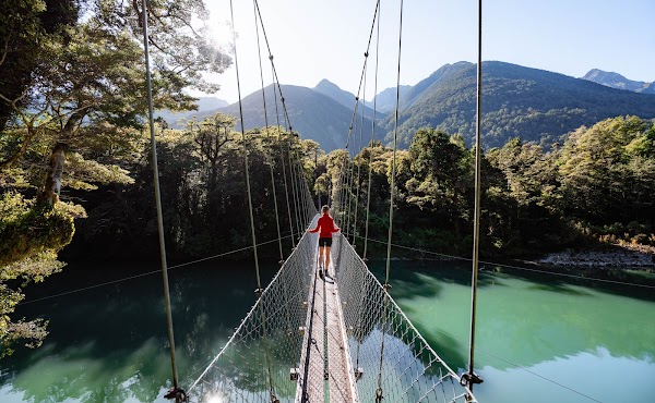 Hollyford Wilderness Experience 1