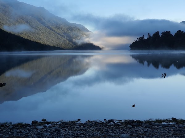 Hollyford Wilderness Experience 5