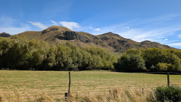 Hollyford Wilderness Experience 4