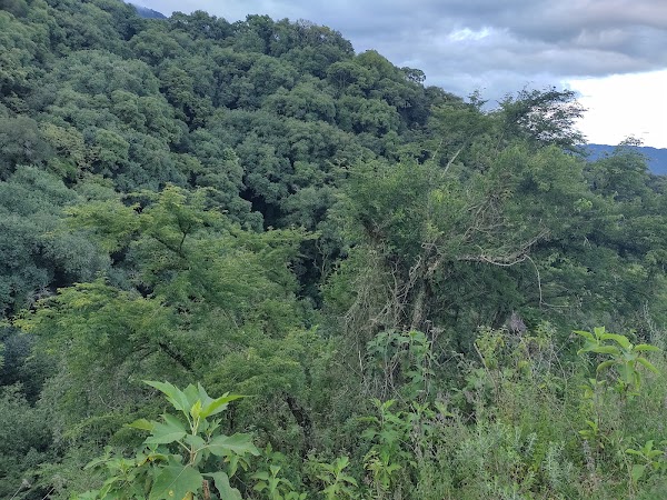 Municipal Reserve Yungas De San Lorenzo