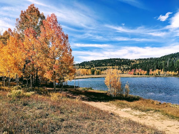 Duck Creek Village 1