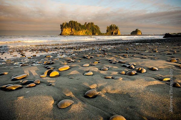 La Push 3