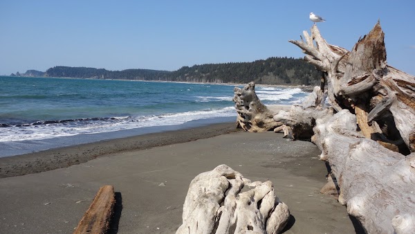 La Push 2