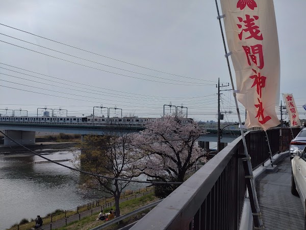 Tamagawa Sengen-jinja Shrine 2