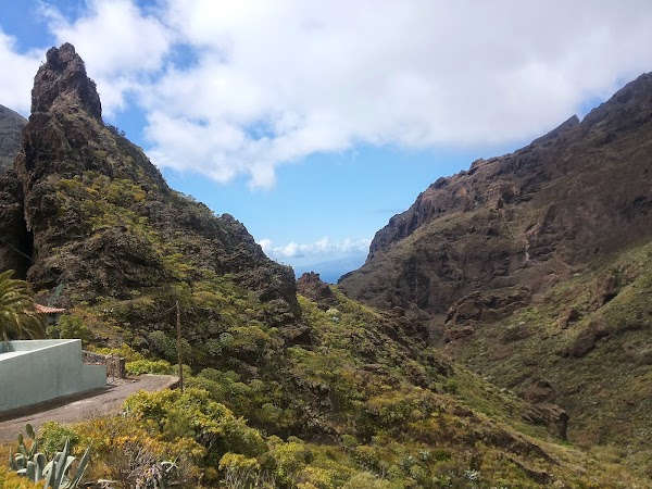 Masca
