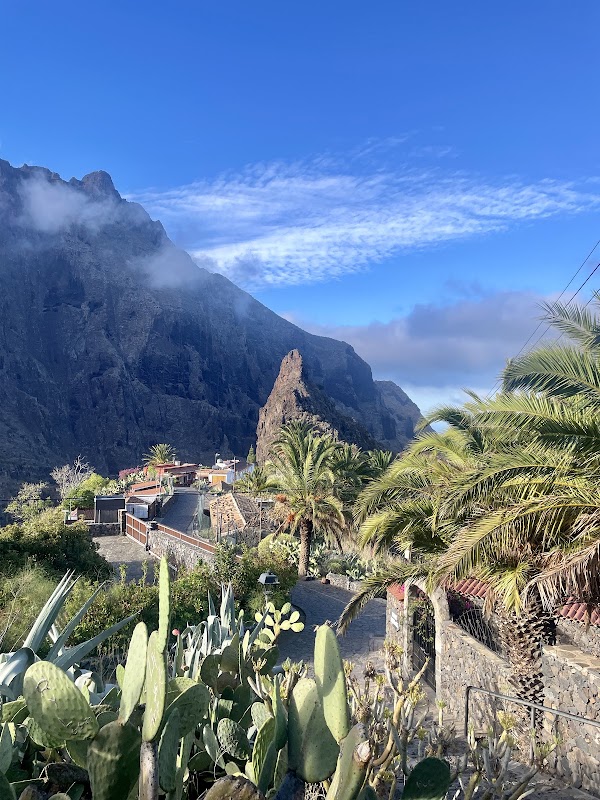 Masca 5