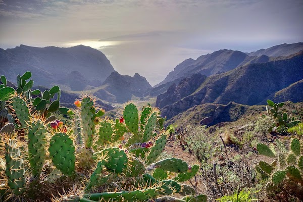 Masca 2