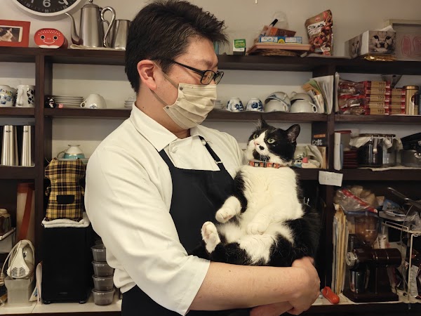 Neko no Su 2