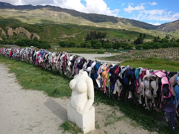 Cardrona Bra Fence 5