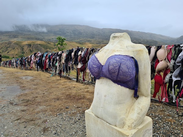 Cardrona Bra Fence 4