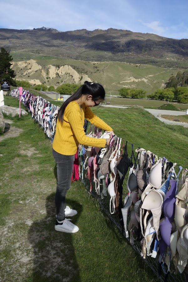 Cardrona Bra Fence 2