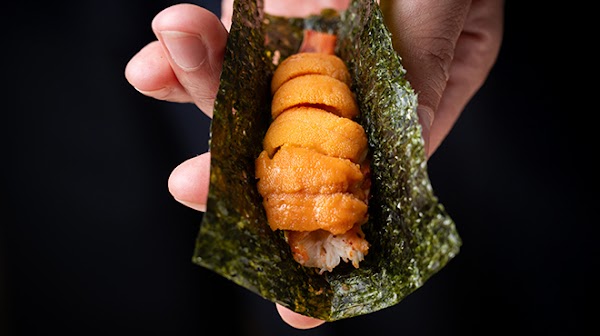 Sushi Hatsume Shinjuku 5