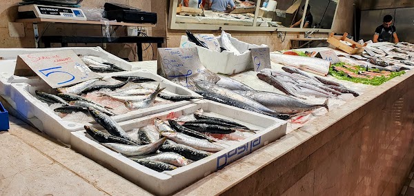 Civic Market of San Benedetto 2