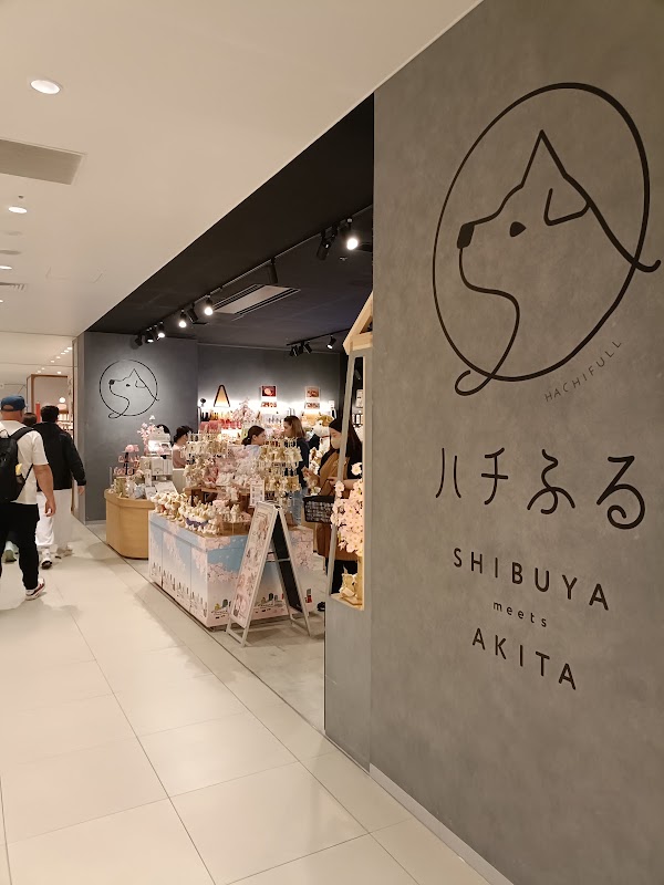Japan 7