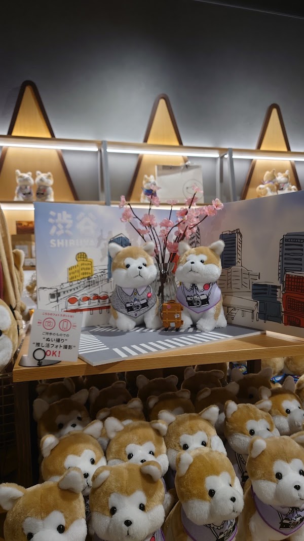 Hachiful SHIBUYA meets AKITA 5
