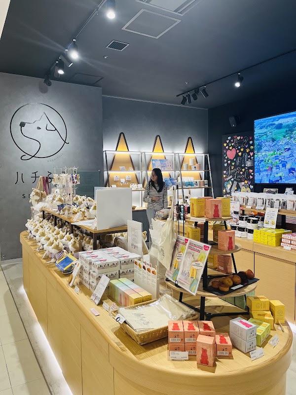 Hachiful SHIBUYA meets AKITA 3