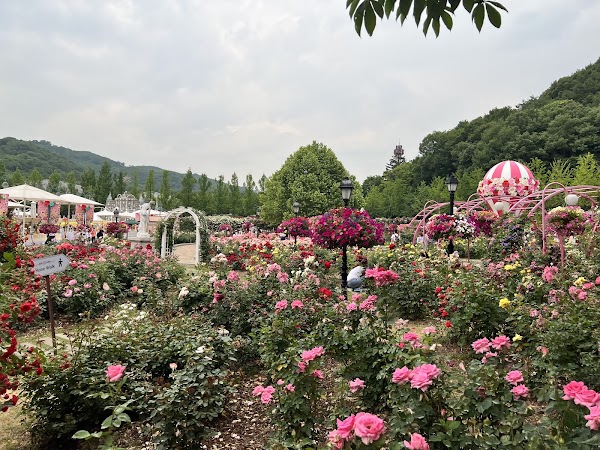 Rose Castle 5