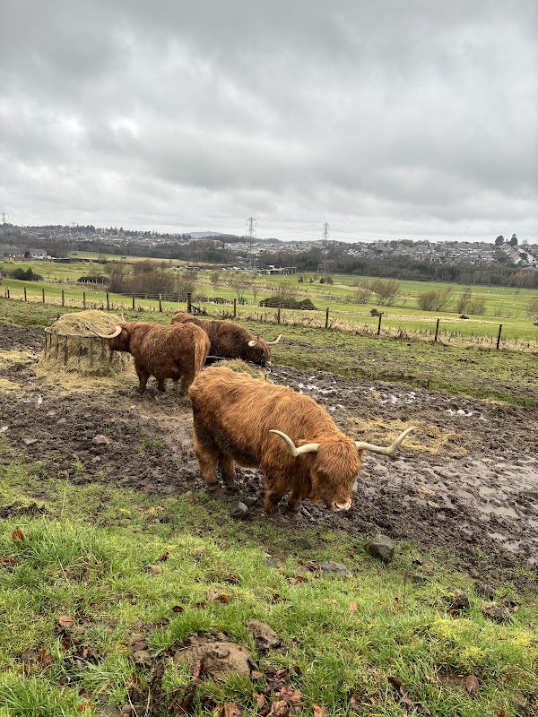 Swanston Farm 4