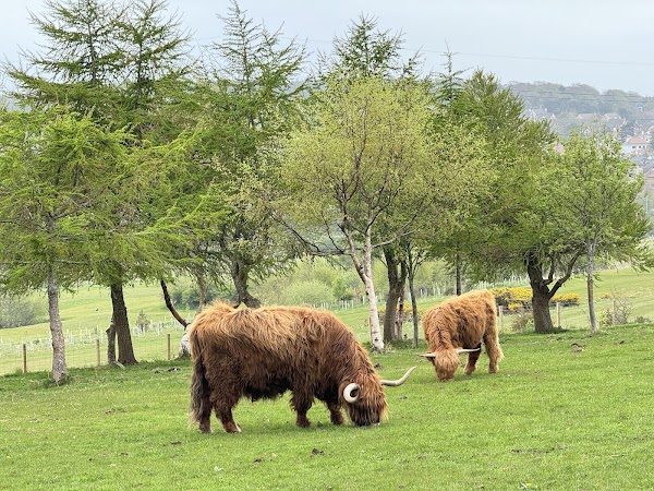 Swanston Farm 3