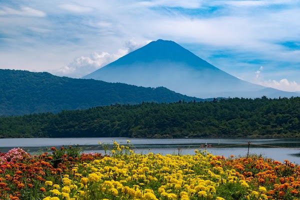 Saiko Lake 1