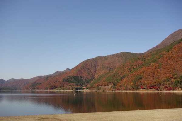 Saiko Lake 5