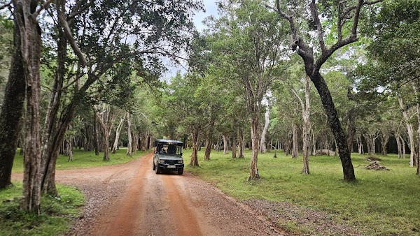Wilpattu National Park
