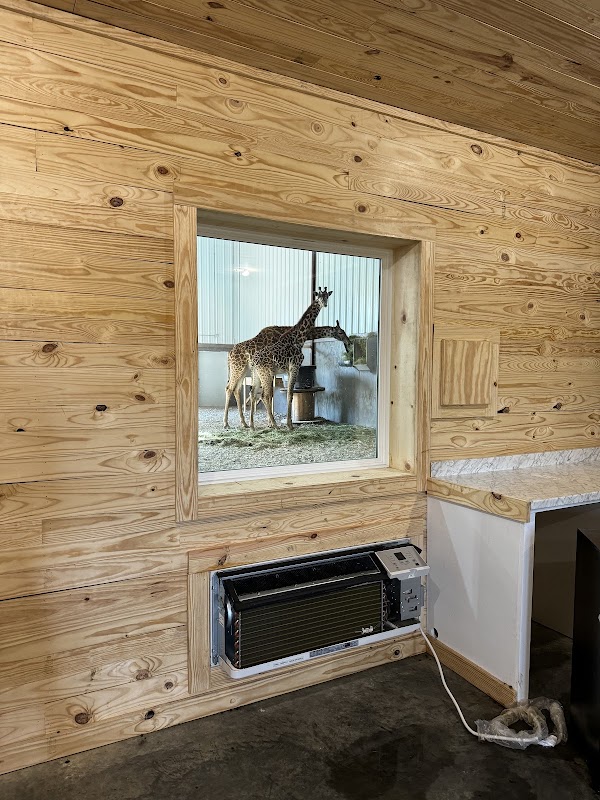 Giraffe Inn & Safari