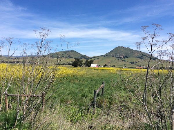 San Luis Obispo 3