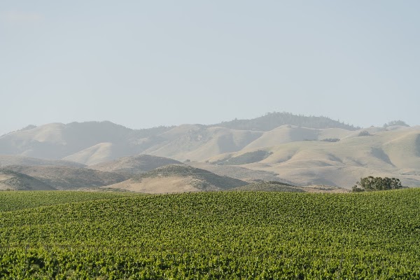 San Luis Obispo 2
